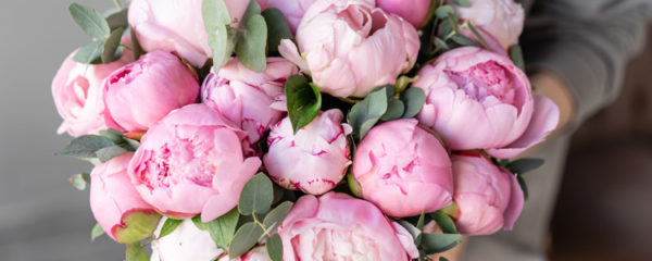 bouquet de pivoines
